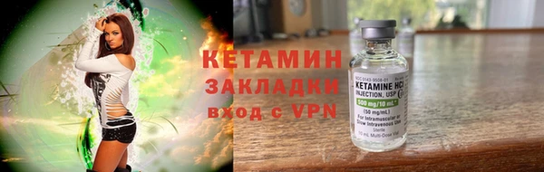 шишки Белокуриха