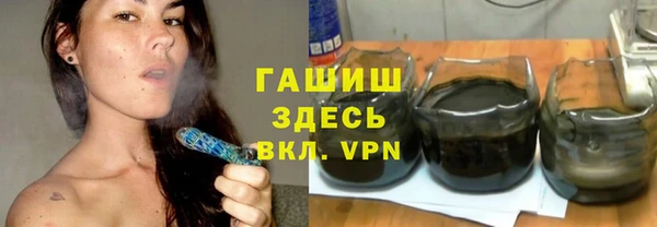 шишки Белокуриха